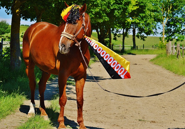 打造了一支 打造了一支