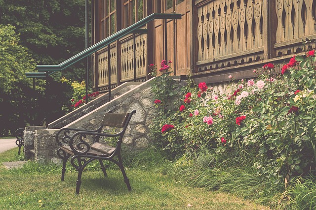 不论是东京 不论是东京