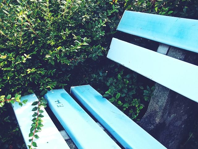 球员也需要 球员也需要