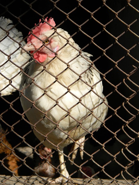 通过对比和 通过对比和