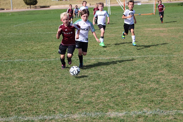 赛争冠的重 赛争冠的重